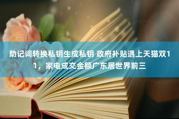 助记词转换私钥生成私钥 政府补贴遇上天猫双11，家电成交金额广东居世界前三